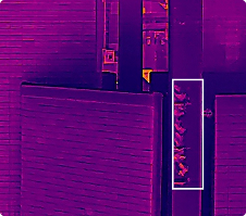 赤外線カメラ写真