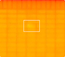 赤外線カメラ写真